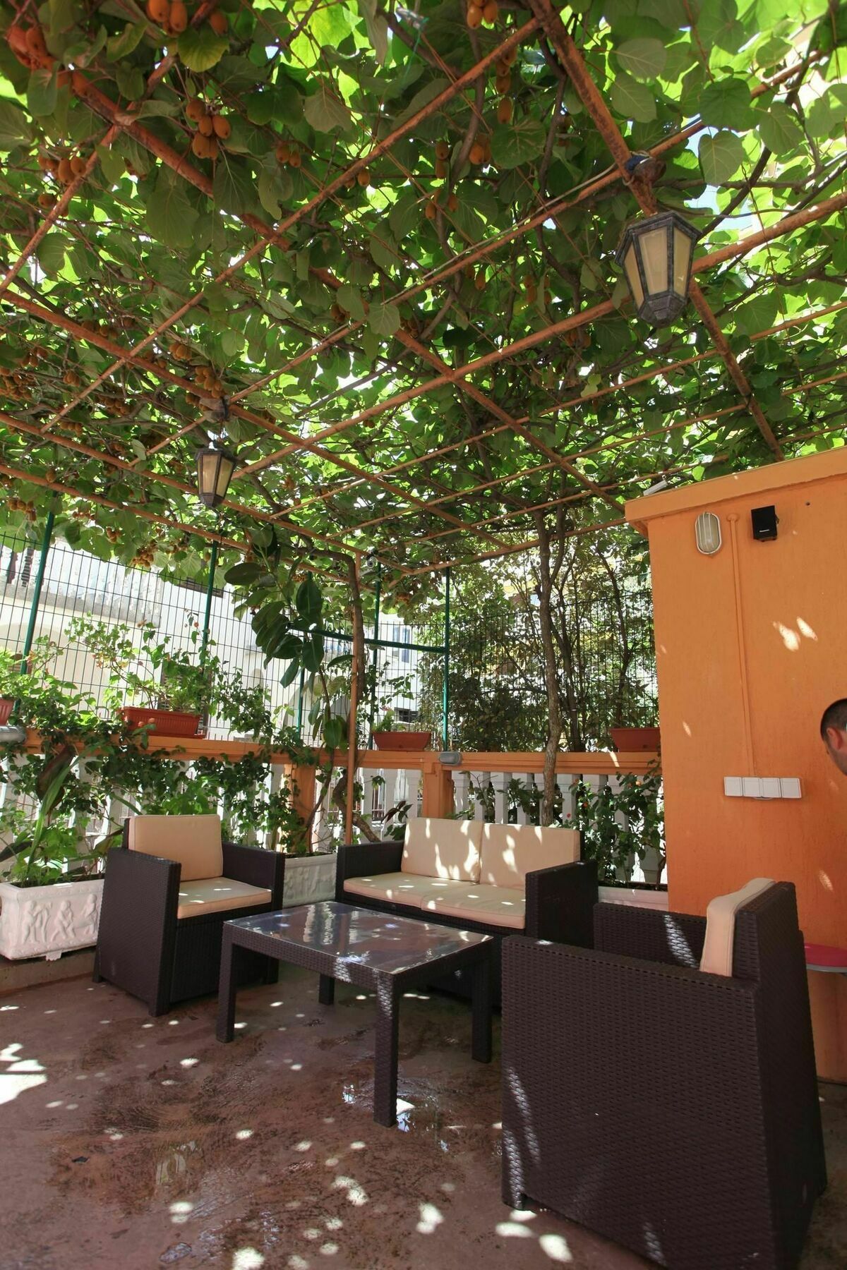 Guest house Memidz 3*